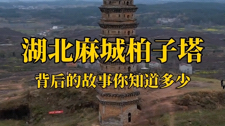 湖北麻城九龙山柏子塔,高九尺九丈,据说是唐王李世明下令修建,距今已有1200多年历史哔哩哔哩bilibili