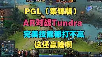 Descargar video: 【集锦版】AR对战Tundra，完美技能都打不赢，这还赢啥（老龟解说）