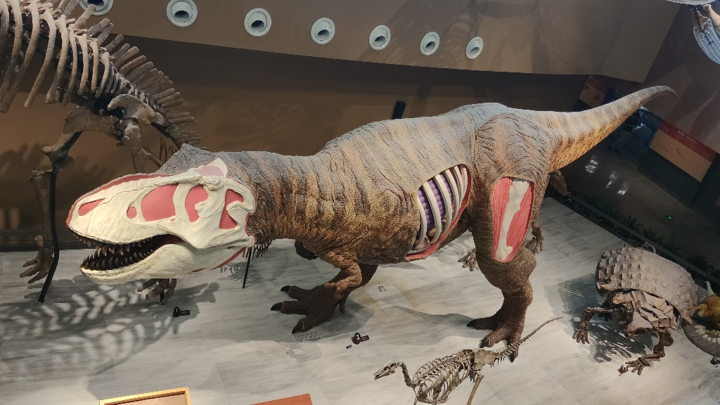 上海自然博物馆-霸王龙动态展示_哔哩哔哩_bilibili