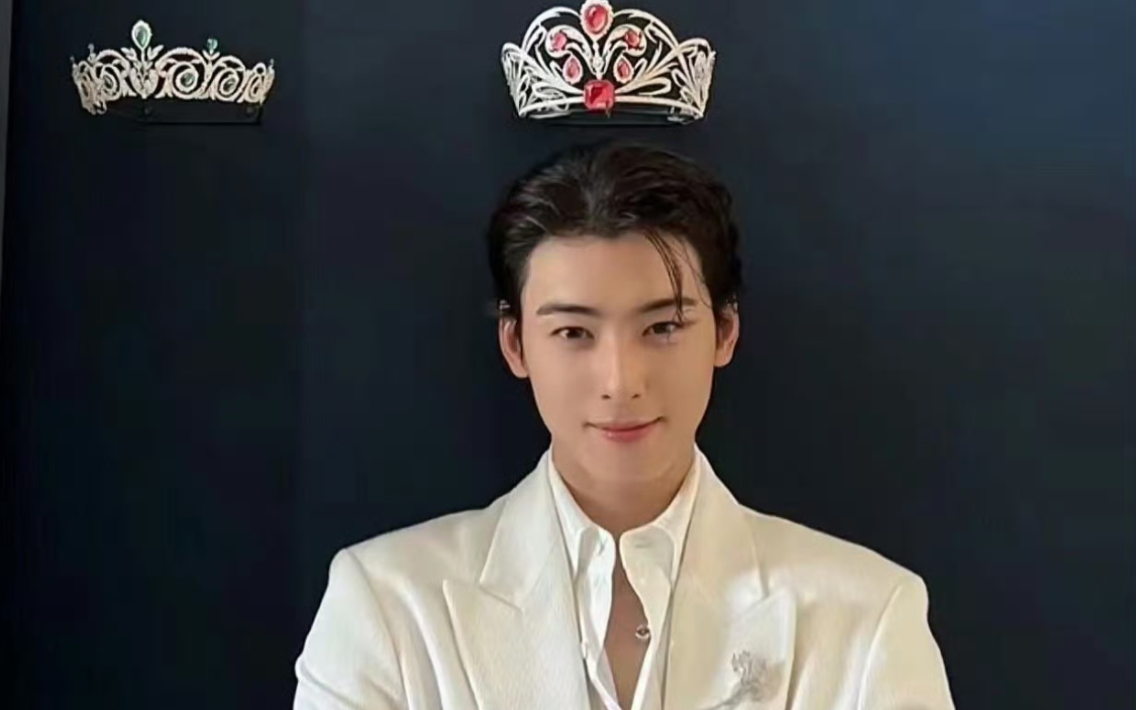 车银优 高贵帅气