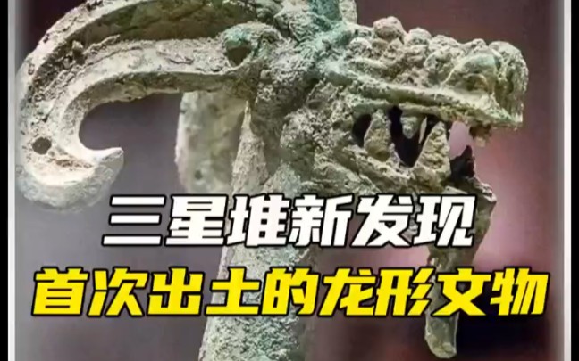 [图]三星堆最新发现，首次出土龙形文物