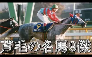 芦马 搜索结果 哔哩哔哩 Bilibili