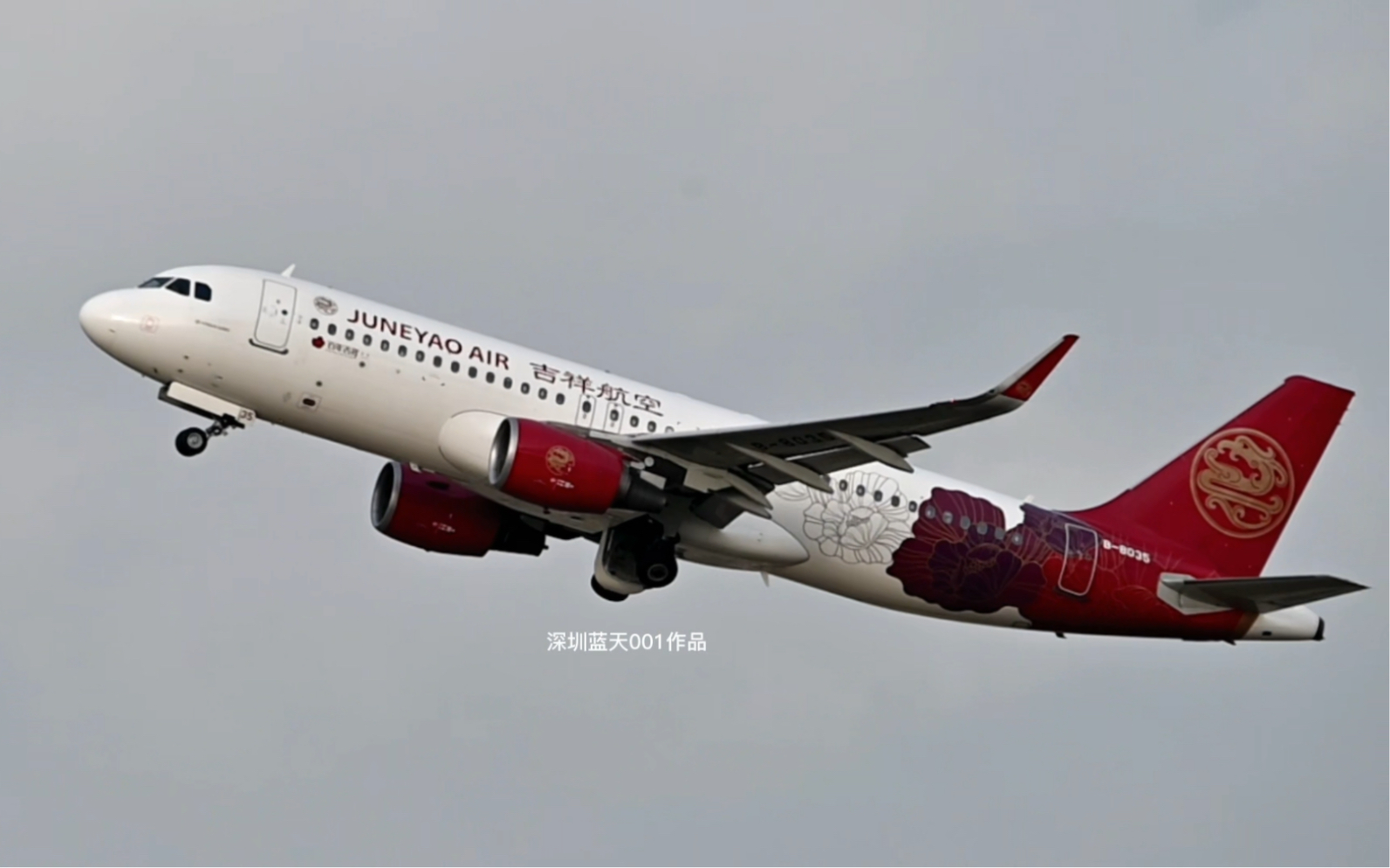 偶遇吉祥航空"花见神州"彩绘机.