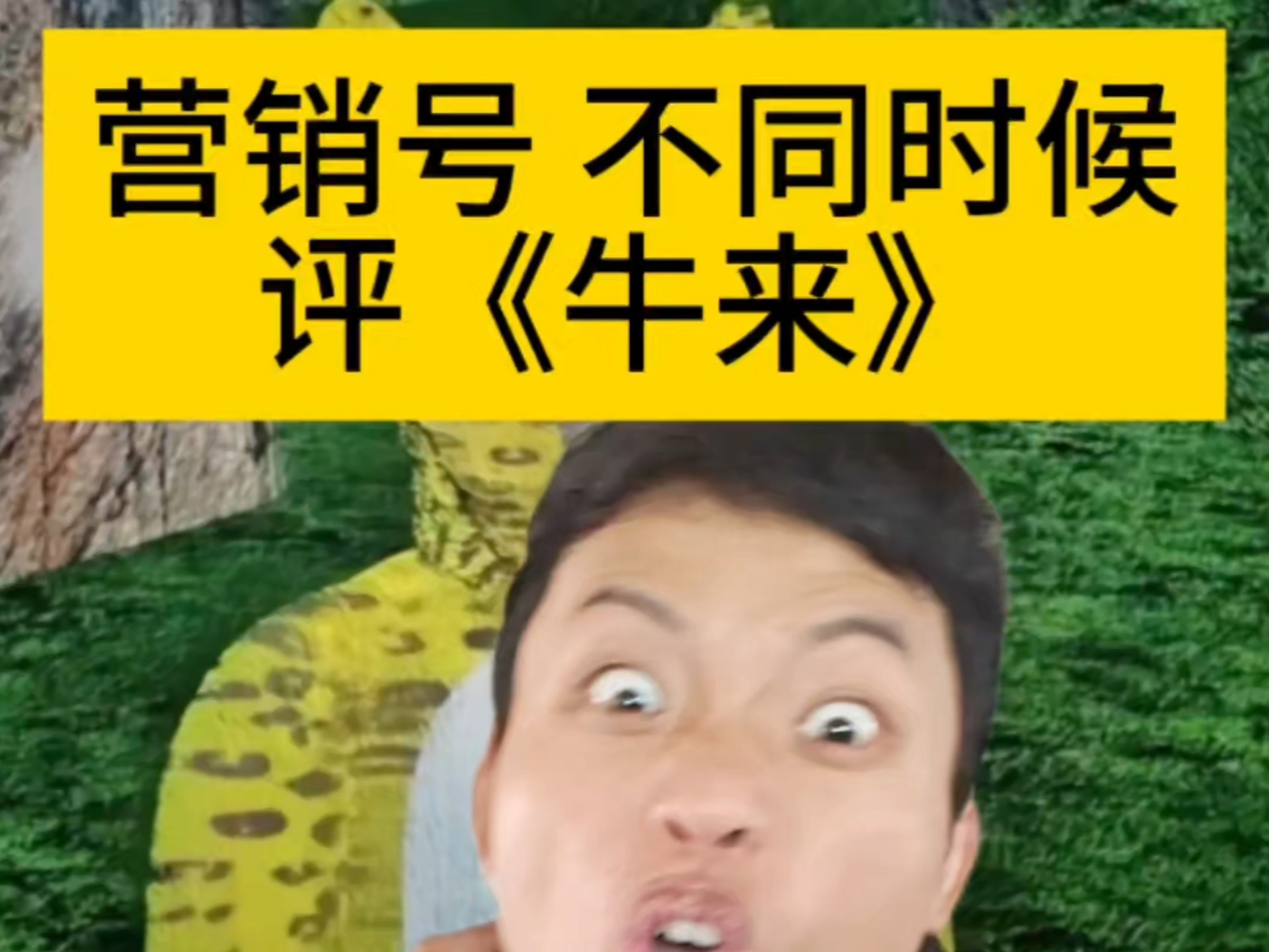 是这样吗