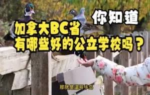 Download Video: 加拿大BC省有哪些好的公立教育局？