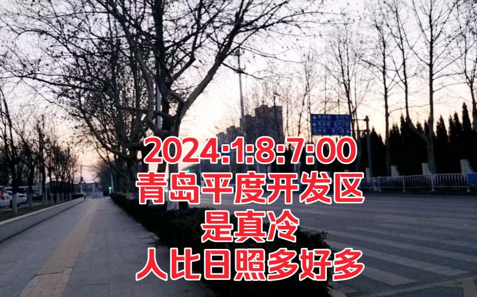 2024:1:8:7:00青岛平度开发区,是真冷,人比日照多好多!哔哩哔哩bilibili