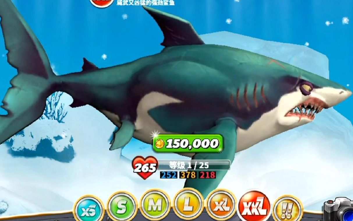 肉饥饿鲨鱼进化11锤头鲨200米