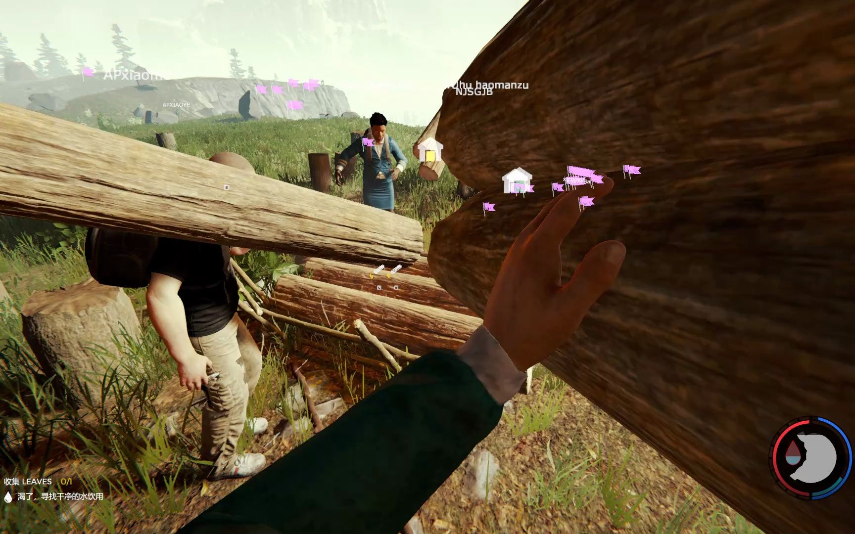 the forest 与ap小佐