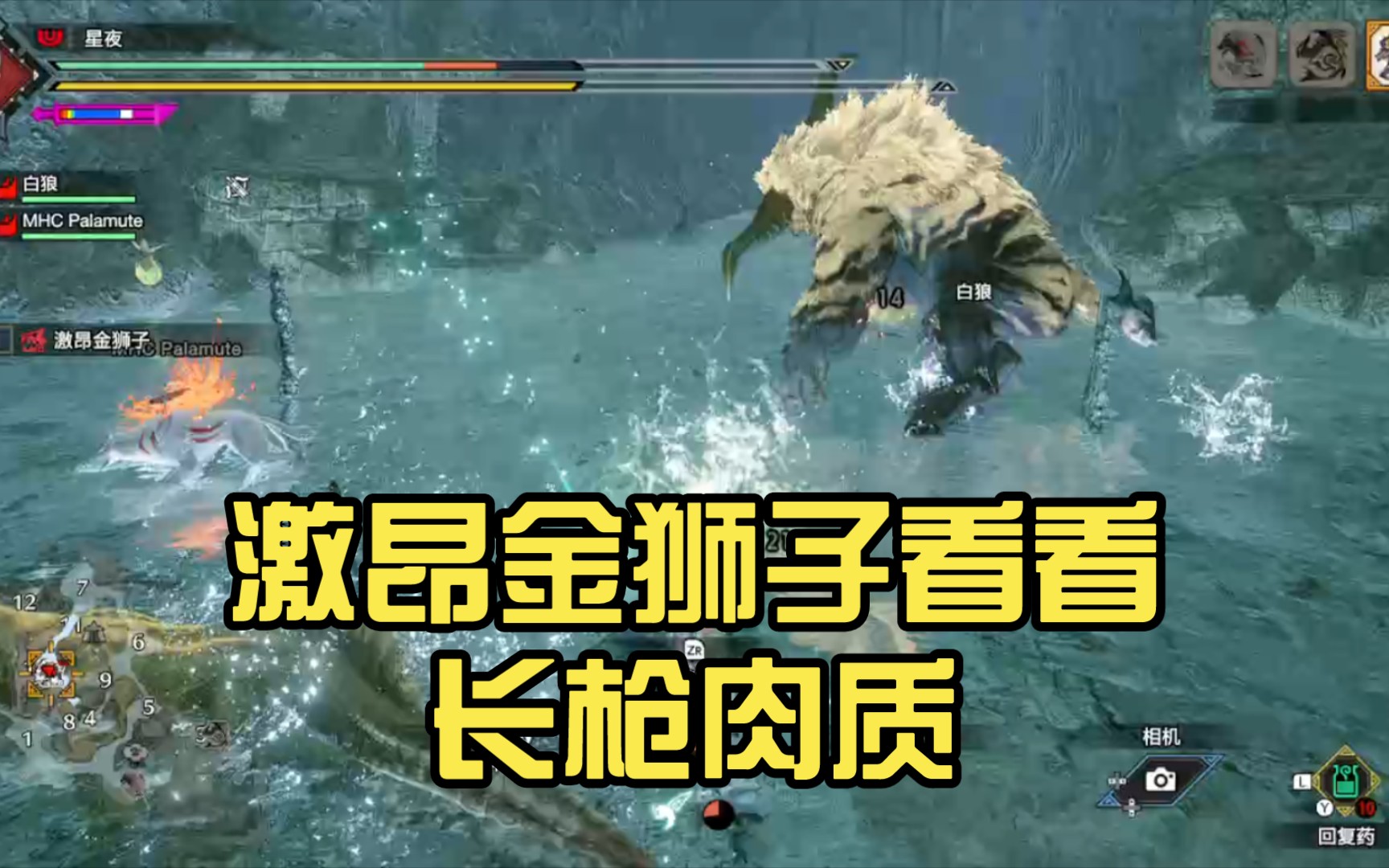 激昂金狮子看看长枪肉质