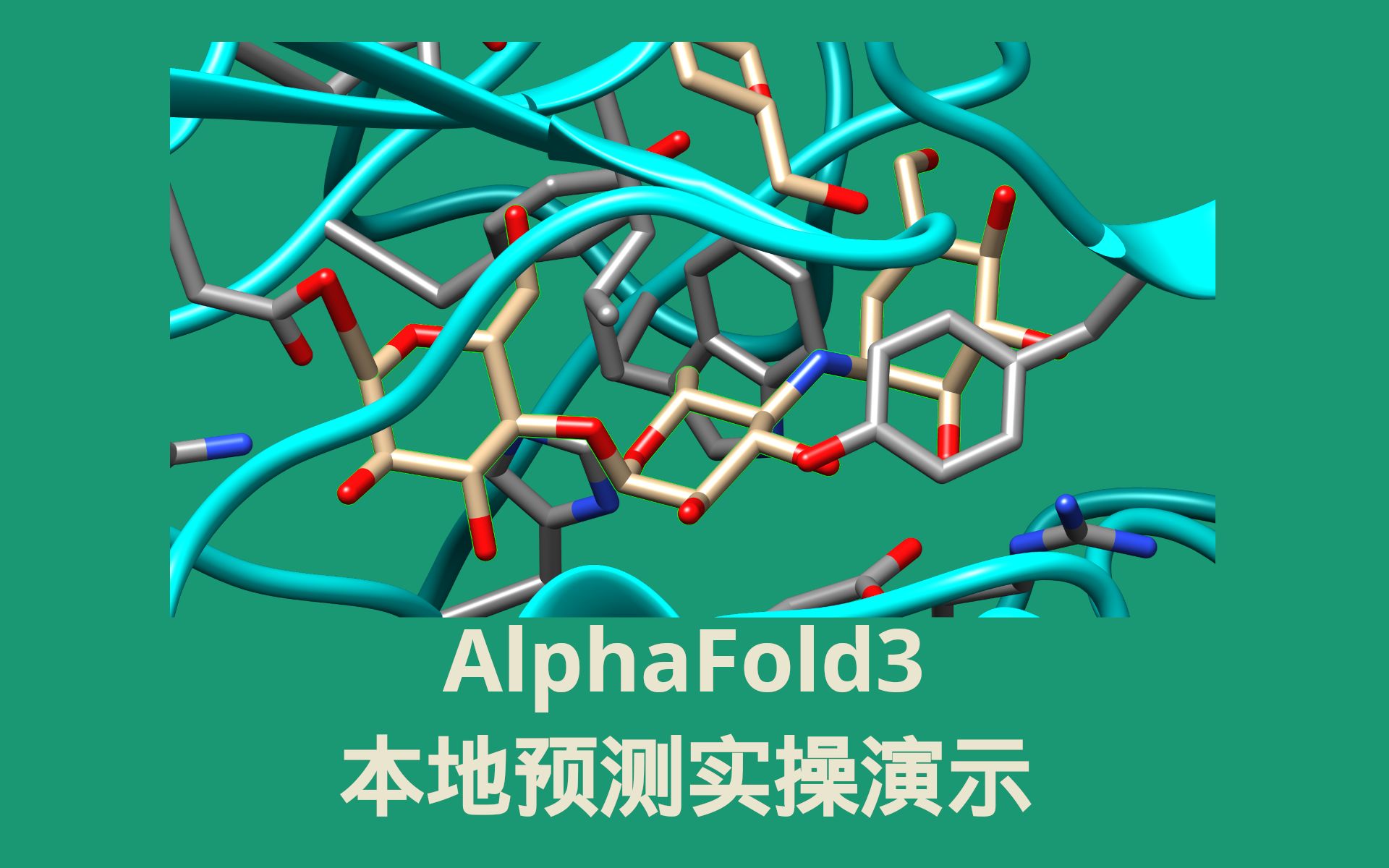 alphafold3本地运行实操演示03:蛋白聚糖共价结合预测+自定义配体CCD哔哩哔哩bilibili