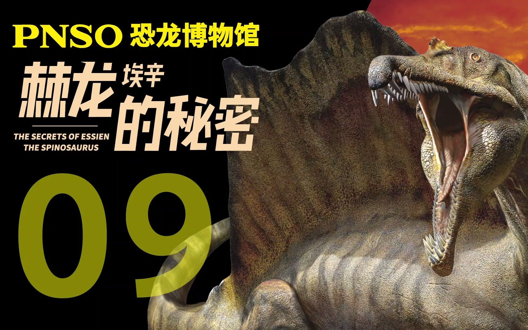 pnso恐龙博物馆-棘龙埃辛的躯干