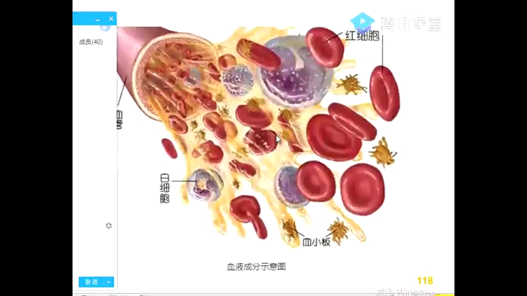 [图]第十一篇 兽医临床诊断学 4