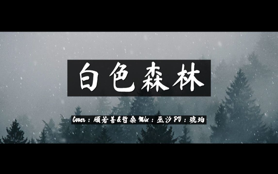 苦情&治愈?这也能出现在一首歌里吗?《白色森林》顾若善&哲桑Cover哔哩哔哩bilibili