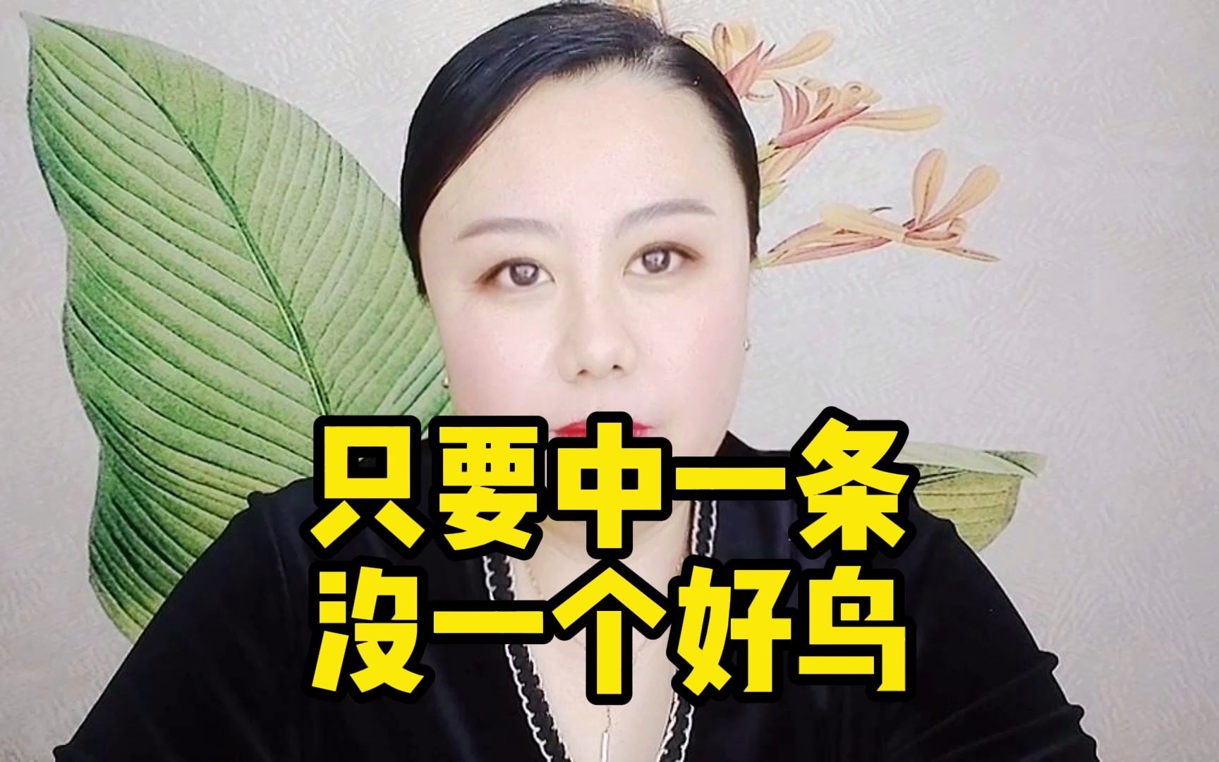 只要中一条 没一个好鸟哔哩哔哩bilibili