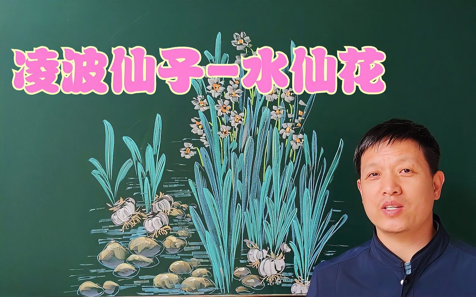 出水芙蓉水仙花哔哩哔哩bilibili