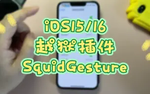 Download Video: iOS15/16越狱插件SquidGesture