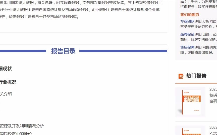 20232029年中国纳米铝粉市场深度调查与行业前景预测报告哔哩哔哩bilibili