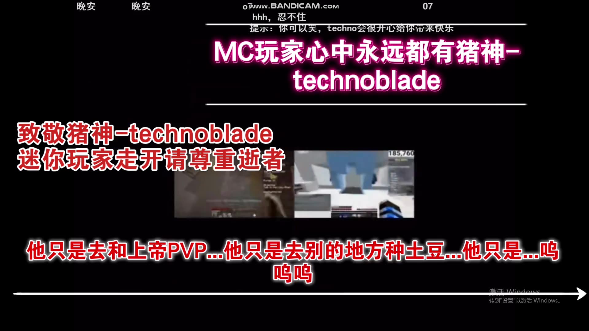 致敬猪神technoblade