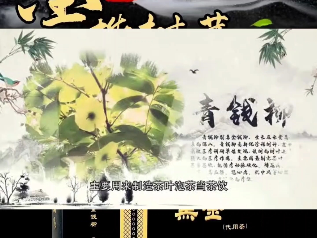 桦树茸黑金1号代用茶总部在哪里?桦树茸黑金茶公司实力如何?哔哩哔哩bilibili