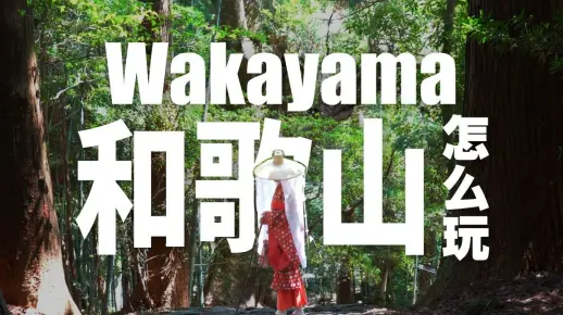 和歌山乐享周游券｜穿着平安服装穿着漫步古道中、享用美味金枪鱼餐点、动物游乐园冒险大世界 、纪三井寺、白滨海中展望塔、太地町立鲸鱼博物馆、串本町观光周游巴士