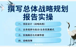 下载视频: 01-10 撰写总体战略规划报告实操