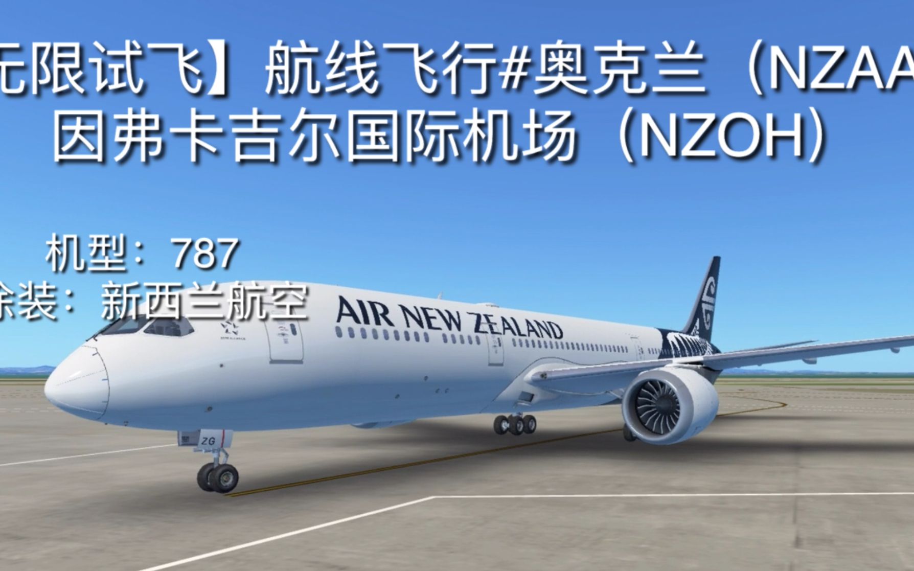 nzaa机场图片