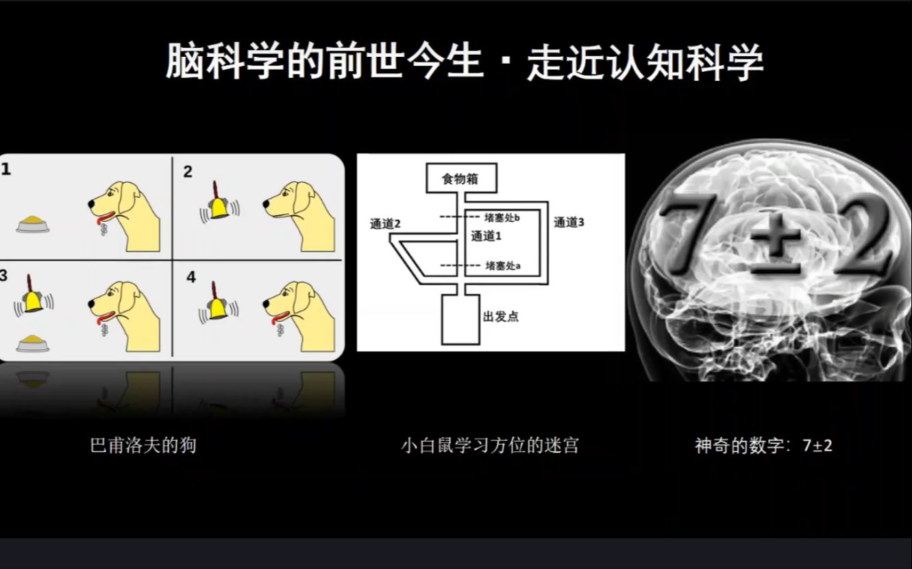 [图]“脑科学”的前世今生