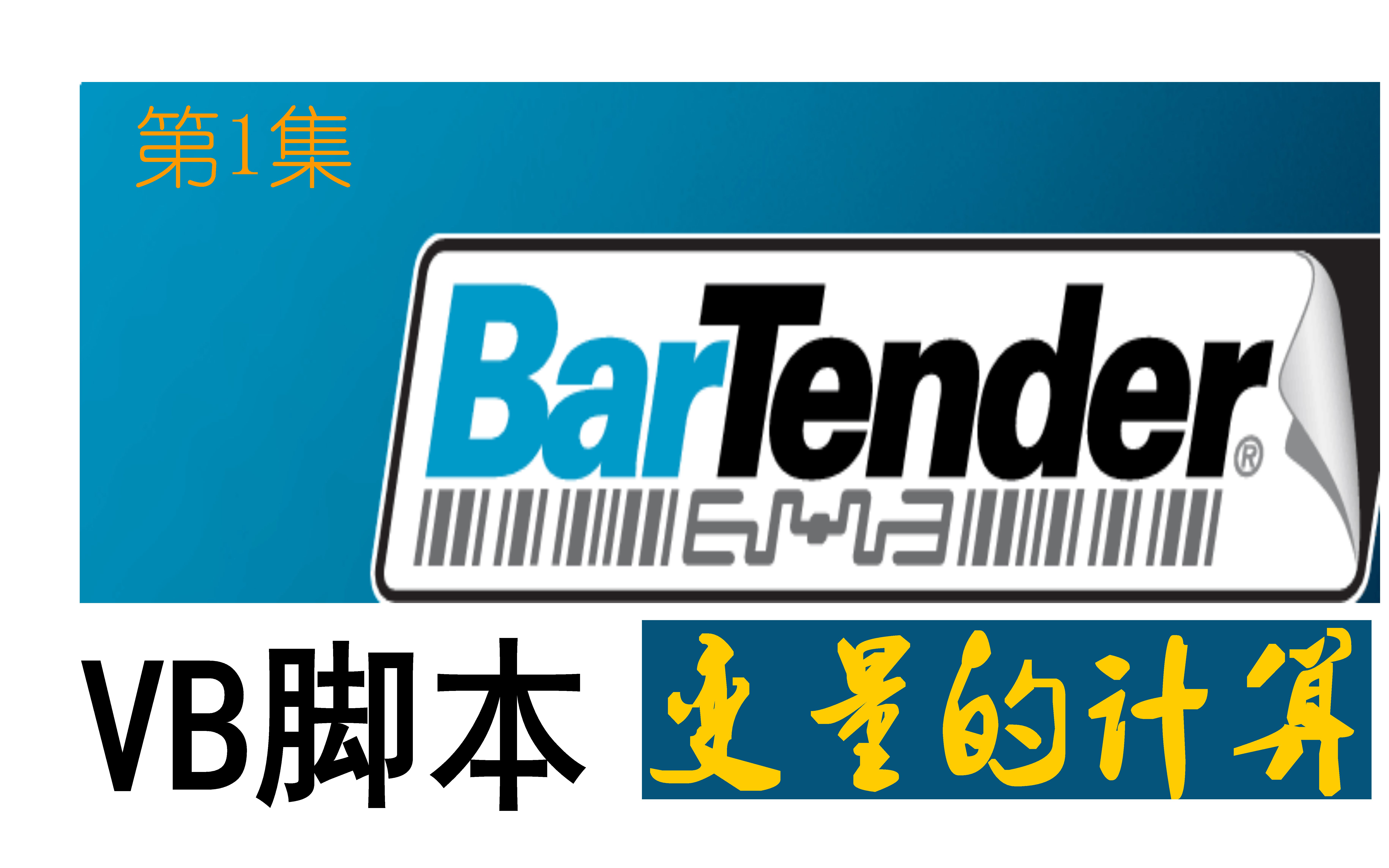 BarTender标签打印软件VB脚本实例变量的自动计算哔哩哔哩bilibili