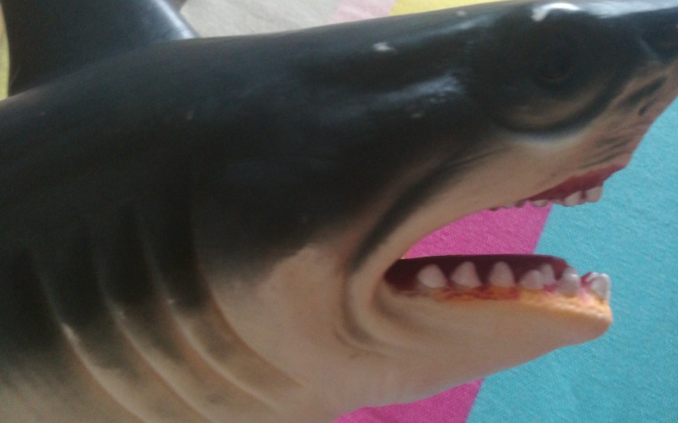 双目失明的可怜鲨臂请大家多多支持他doge