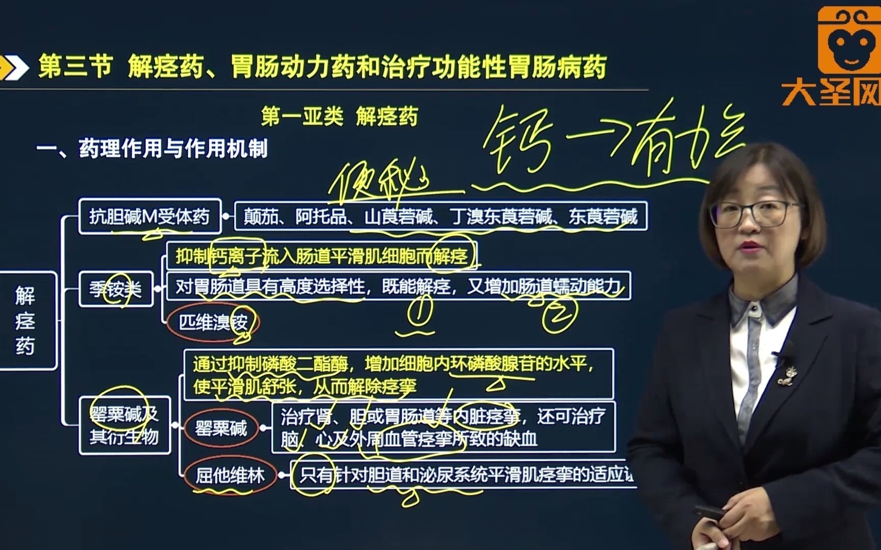 【西药二】03、药学专业知识二 第四章 消化系统疾病用药 第三节 解痉药、胃肠动力药和治疗功能性胃肠病药哔哩哔哩bilibili