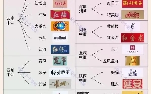 全国各家烟厂生产的名烟一览表哔哩哔哩bilibili