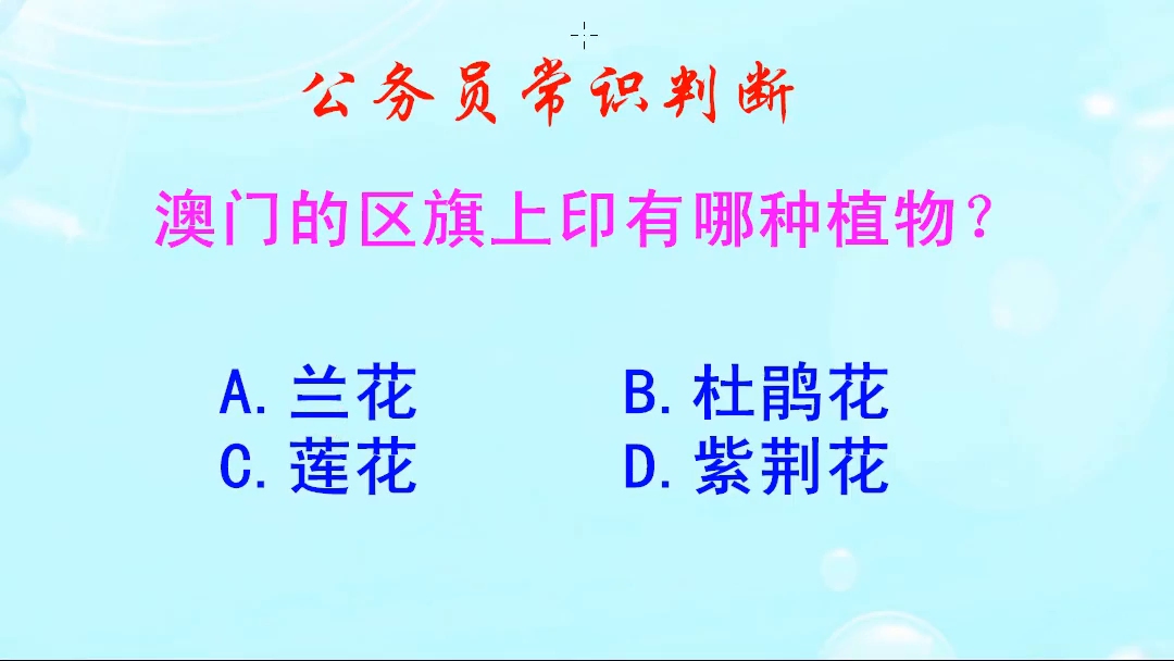 公务员常识判断,澳门的区旗上印有哪种植物?莲花还是紫荆花呢哔哩哔哩bilibili