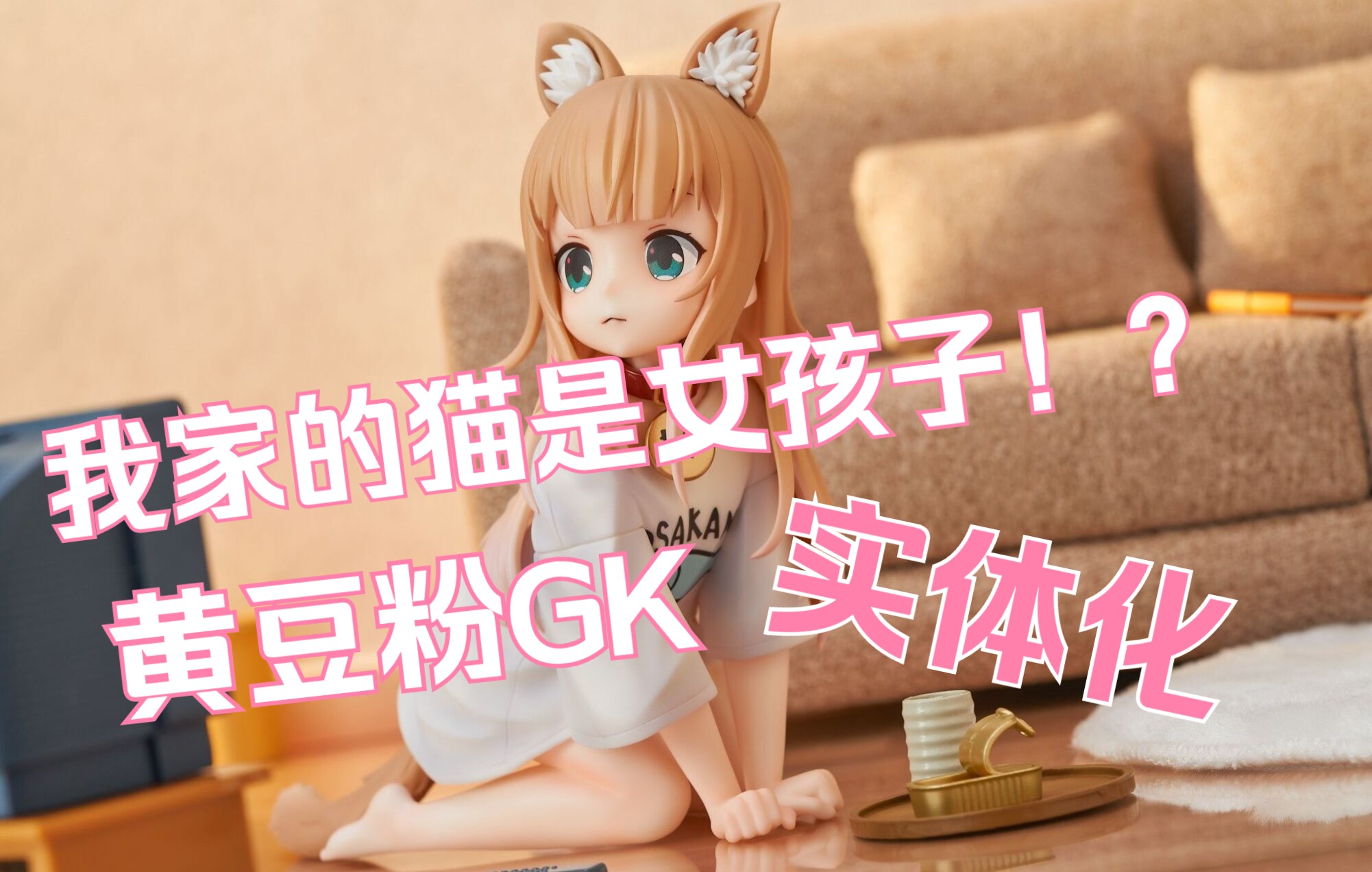 活动  【星萝馆】我家的猫是女孩子?黄豆粉实体化啦!