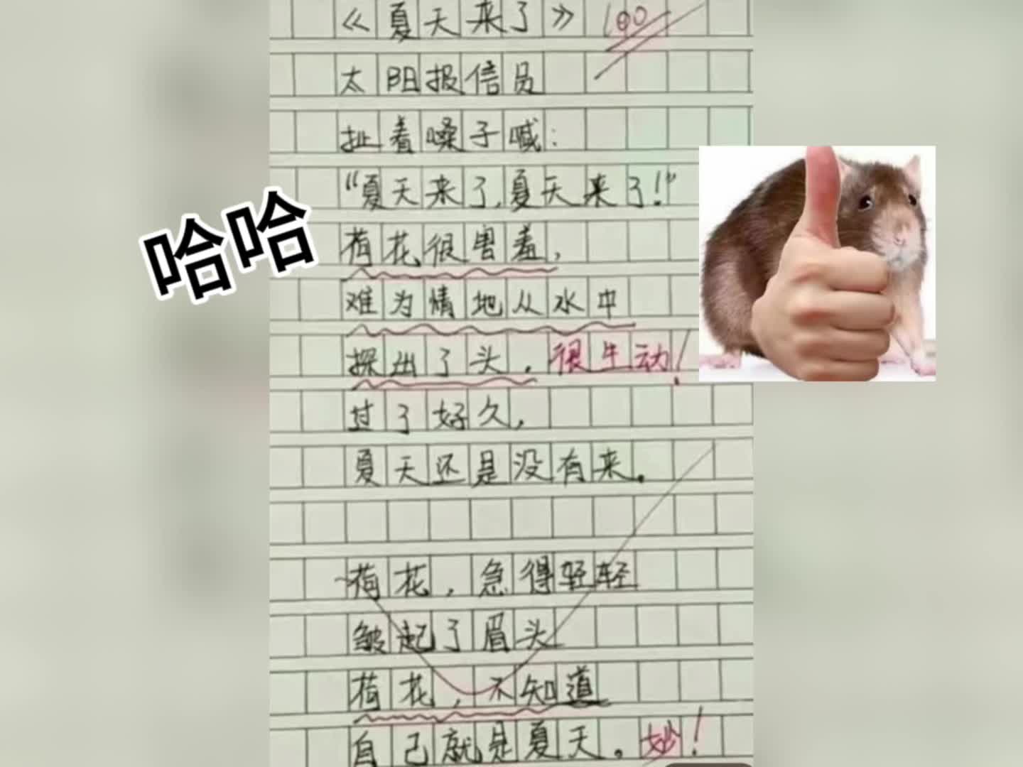 奇葩作文哔哩哔哩bilibili