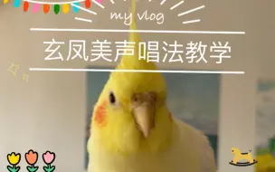 Descargar video: 玄凤美声唱法教学（半小时复读）