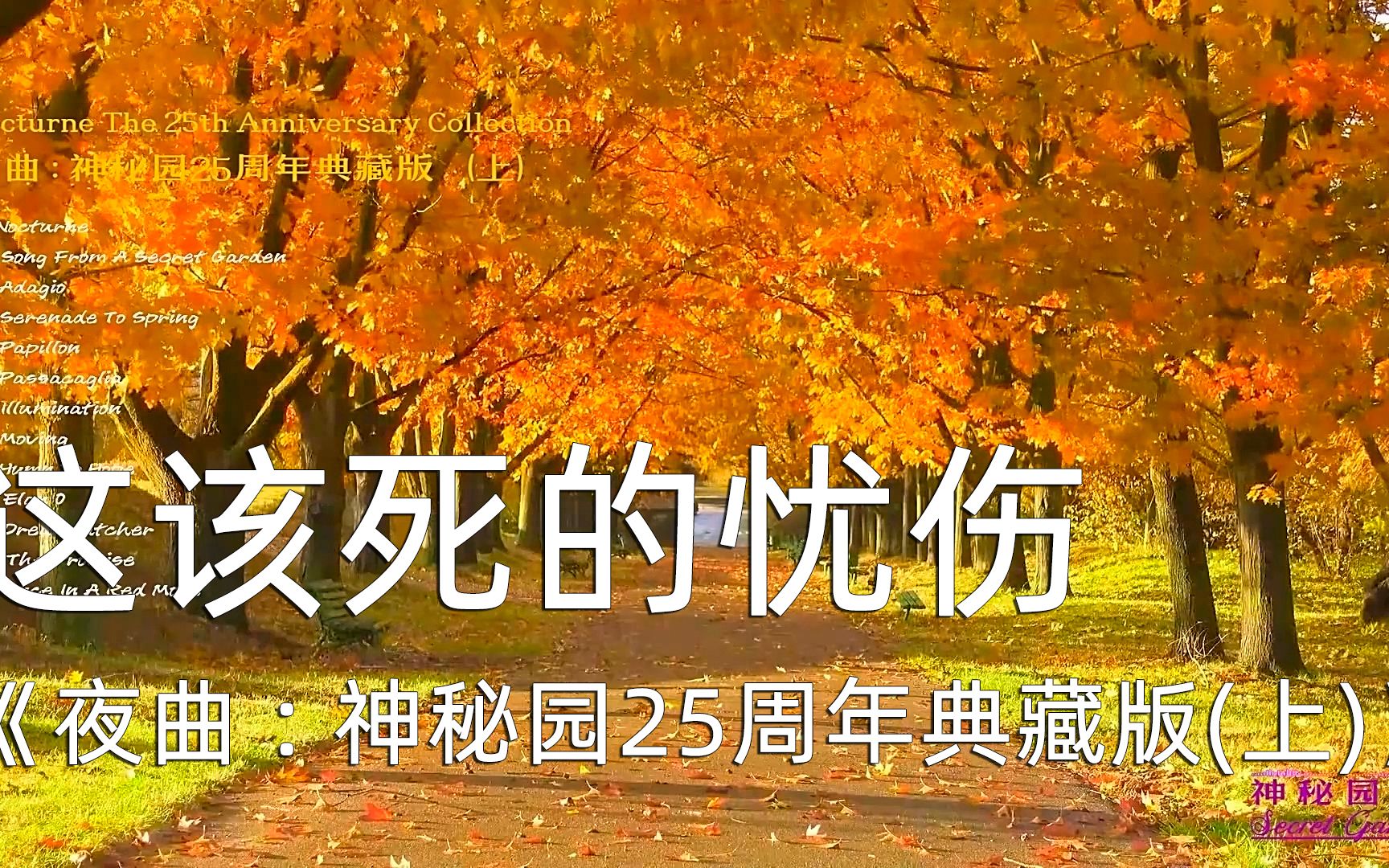 [图]这该死的忧伤-夜曲 : 神秘园25周年典藏版（上）