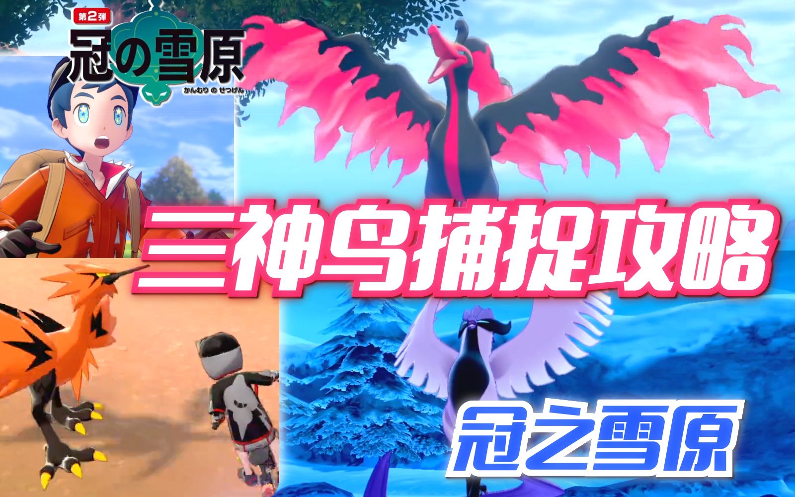 【冠之雪原】三神鸟捕捉攻略! 宝可梦剑盾dlc扩充票王冠雪原