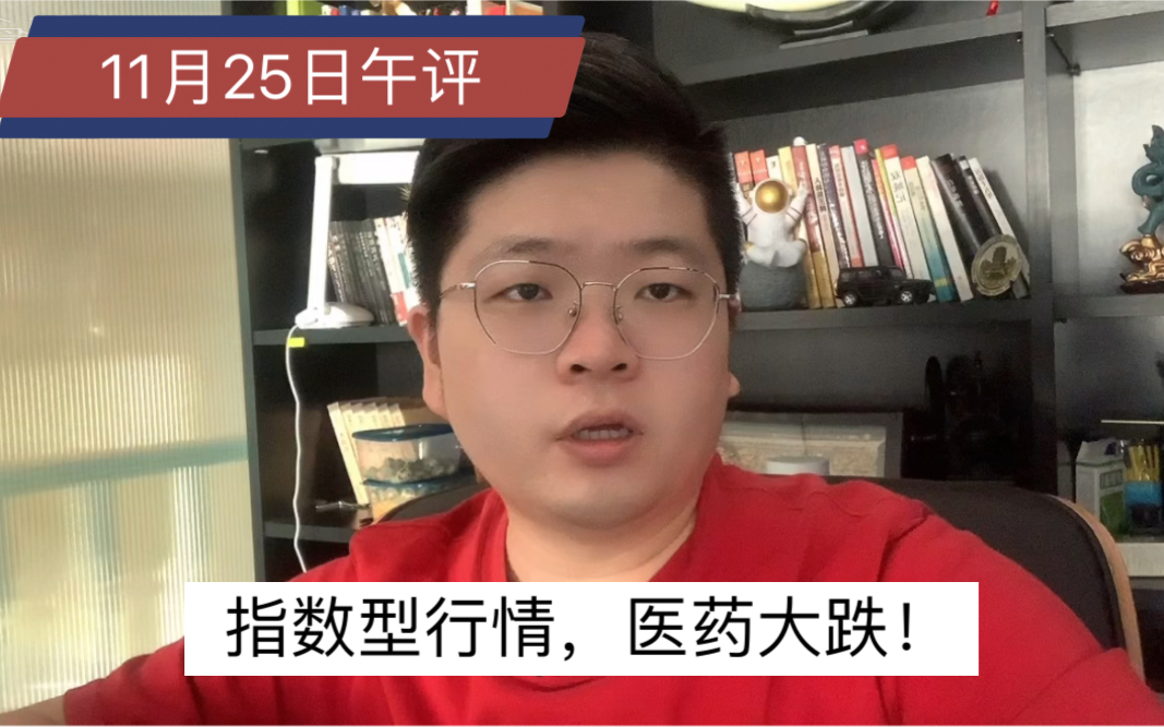 【11月25日午评】指数型行情,医药大跌,地产、金融、赛道哔哩哔哩bilibili