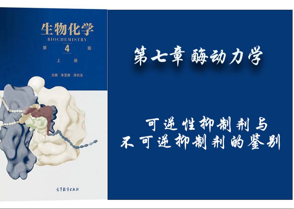 58.生物化学  第七章— 可逆抑制剂与不可逆抑制剂的鉴别哔哩哔哩bilibili