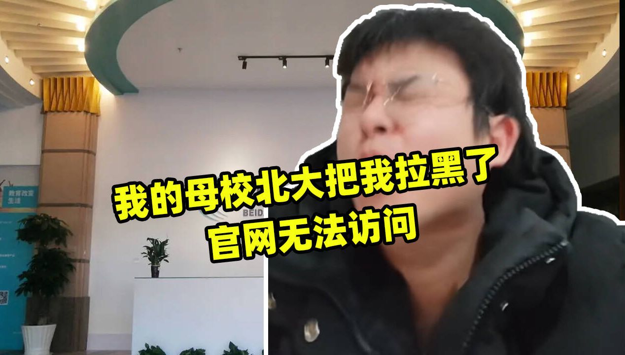 我的母校北大把我拉黑了,官网无法访问.难道是我做IT教学网站成为了竞争对手吗?哔哩哔哩bilibili