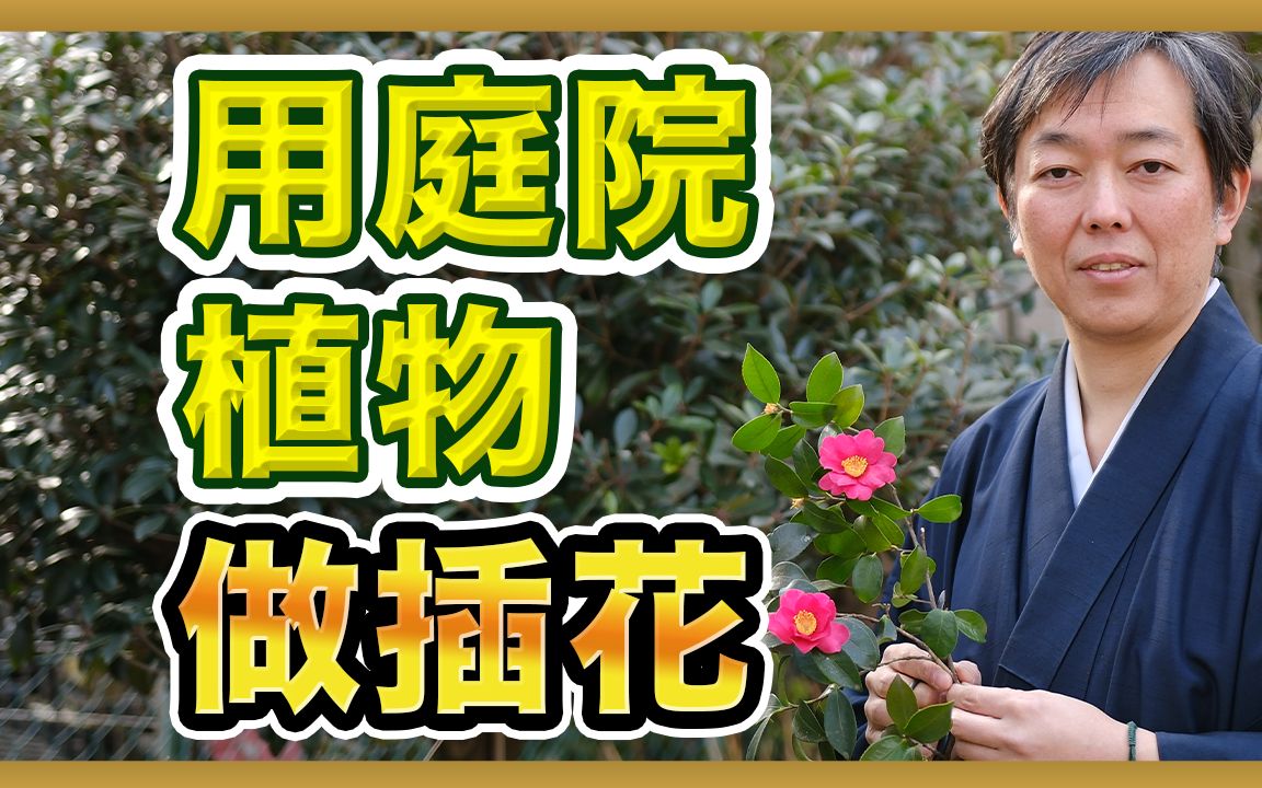 超简单!日本花道家教你用庭院的植物做插花,园艺爱好者别错过哔哩哔哩bilibili