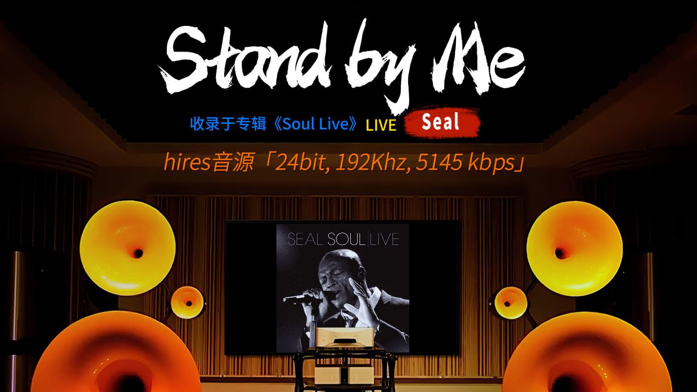 [图][hires 24-192]《Stand by Me》Seal [百万级装备高解析试听]