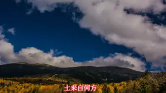 Descargar video: 余秀华诗歌《风吹虚村》诵读：南丁