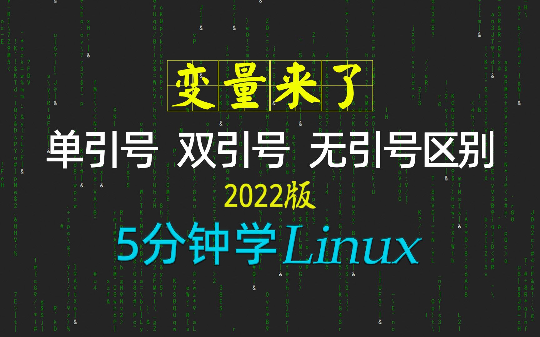 [5分钟学linux] 38linux自定义变量的3种赋值方法及单引号、双引号、无引号的区别2022新linux极速入门教程哔哩哔哩bilibili