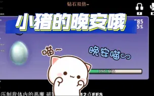 Download Video: 【斗鱼blue】大家∶晚安晚安 猪猪∶晚安喵∽ 冠磊∶瓦瓦瓦瓦