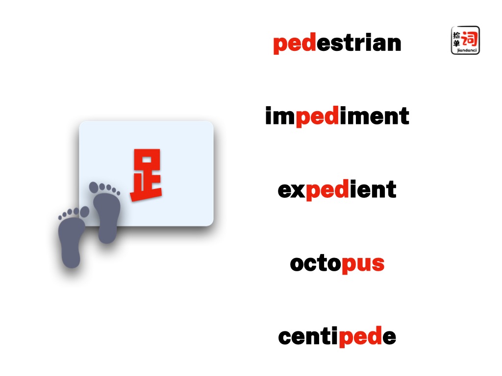 英文竟然也有足字旁?本期ada带你搞定英文中的“跃,踏,踢,踹”!哔哩哔哩bilibili