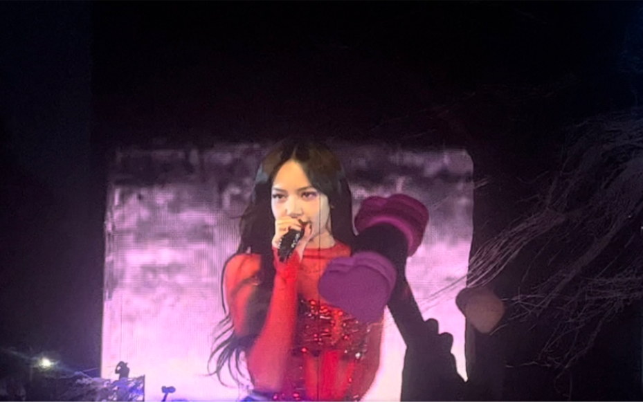 海德公园音乐节 lisa 个人舞台