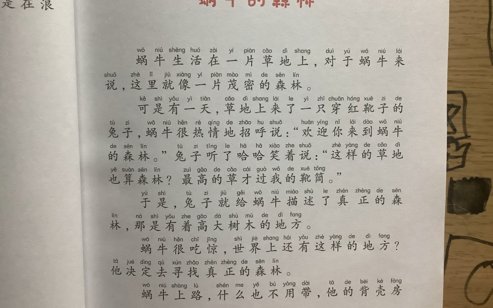 睡前故事|蜗牛的森林