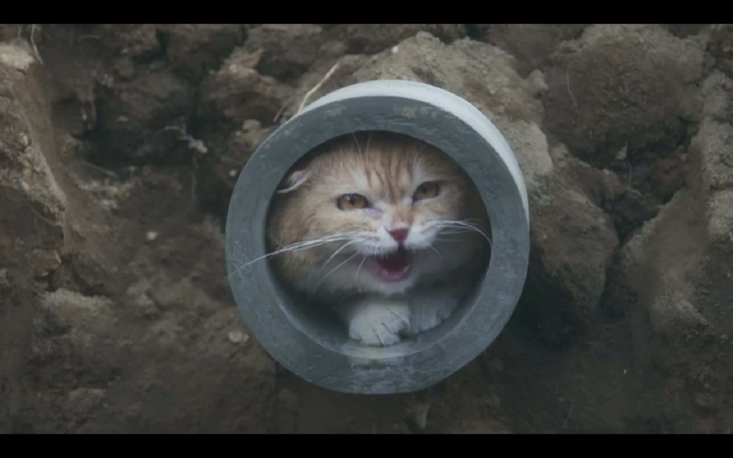 2017夏季日剧警视厅生物系第一集宣传片花45s