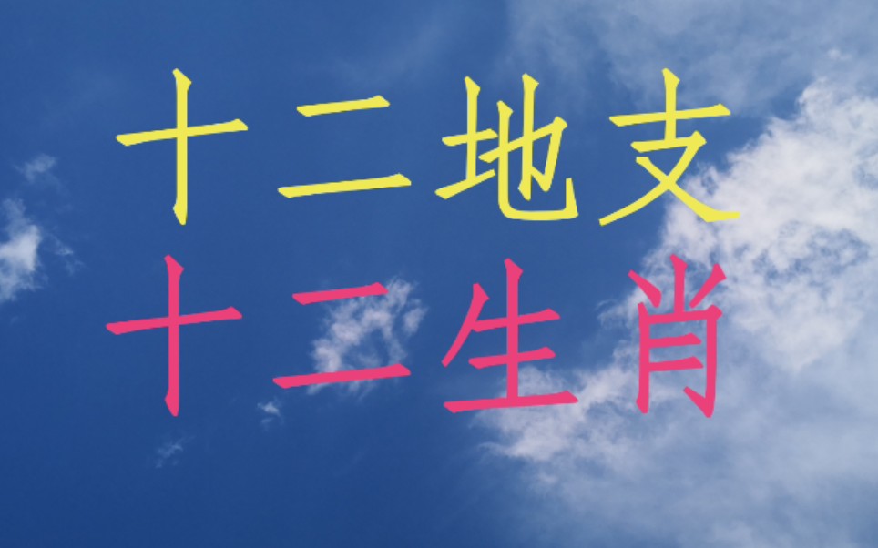 地支之间的关系,相对应的十二生肖也有,有哪些?哔哩哔哩bilibili